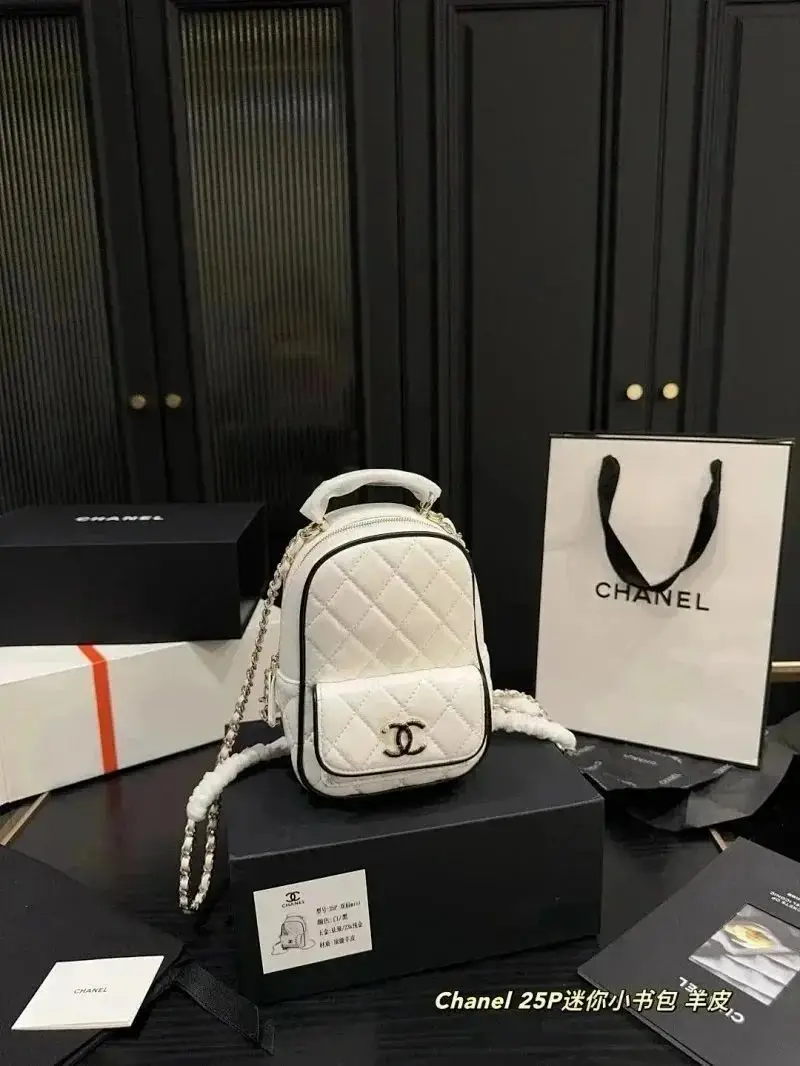 Chanel Classic Flap Bag [39 styles] 3
